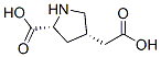 3-Pyrrolidineaceticacid,5-carboxy-,(3S-cis)-(9CI) CAS#: 168034-54-6