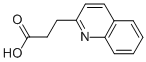 3-QUINOLIN-2-YLPROPANOIC ACID CAS#: 39111-94-9