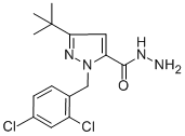 3-(TERT-BUTYL)-1-(2,4-DICHLOROBENZYL)-1H-PYRAZOLE-5-CARBOHYDRAZIDE CAS#: 306937-07-5