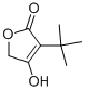 3-TERT-BUTYL-4-HYDROXYFURAN-2(5H)-ONE CAS#: 114908-93-9