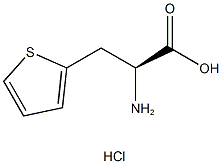 3-THIOPHEN-2-YL-L-ALANINE HCL CAS#: 123053-24-7
