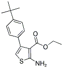 3-THIOPHENECARBOXYLIC ACID, 2-AMINO-4-[4-(1,1-DIMETHYLETHYL)PHENYL]-, ETHYL ESTER CAS#: 307511-84-8