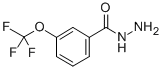 3-(TRIFLUOROMETHOXY)BENZHYDRAZIDE CAS#: 321195-88-4