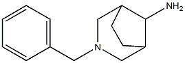 3-benzyl-3-azabicyclo[3.2.1]octan-8-aMine CAS#: 166973-12-2