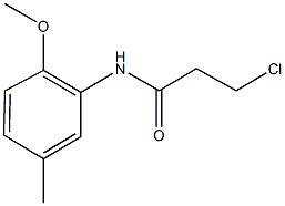 3-chloro-N-(2-methoxy-5-methylphenyl)propanamide CAS#: 349122-20-9