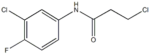 3-chloro-N-(3-chloro-4-fluorophenyl)propanamide CAS#: 131605-66-8