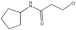 3-chloro-N-cyclopentylpropanamide CAS#: 349403-75-4