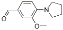 3-methoxy-4-(1-pyrrolidinyl)benzaldehyde(SALTDATA: FREE) CAS#: 116209-27-9