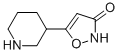 3(2H)-Isoxazolone,5-(3-piperidinyl)-(9CI) CAS#: 153745-69-8