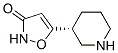 3(2H)-Isoxazolone,5-(3-piperidinyl)-,(R)-(9CI) CAS#: 132033-94-4