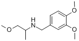 (3,4-DIMETHOXY-BENZYL)-(2-METHOXY-1-METHYL-ETHYL)-AMINE CAS#: 137071-61-5