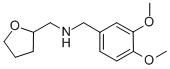 (3,4-DIMETHOXY-BENZYL)-(TETRAHYDRO-FURAN-2-YL-METHYL)-AMINE CAS#: 346704-26-5