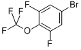 3,5-Difluoro-4-(trifluoromethoxy)bromobenzene CAS#: 115467-07-7