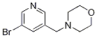 4-((5-bromopyridin-3-yl)methyl)morpholine CAS#: 364793-91-9