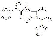 [6R-[6α,7β(R*)]]-7-[(AMinophenylacetyl)aMino]-3-Methylene-8-oxo-5-thia-1-azabicyclo[4.2.0]octane-2-carboxylic Acid SodiuM Salt CAS#: 37050-97-8
