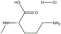 N-Me-Orn-OH·HCl CAS#: 37148-99-5