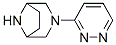 3,8-Diazabicyclo[3.2.1]octane,3-(3-pyridazinyl)-(9CI) CAS#: 286944-34-1