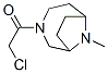 3,9-Diazabicyclo[4.2.1]nonane, 3-(chloroacetyl)-9-methyl- (9CI) CAS#: 115748-98-6