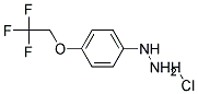 4-(2,2,2-Trifluoroethoxy)phenyl hydrazine hydrochloride CAS#: 115171-04-5