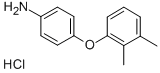 [4-(2,3-DIMETHYLPHENOXY)PHENYL]AMINE HYDROCHLORIDE CAS#: 155106-50-6