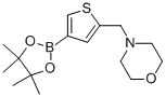 4-([4-(4,4,5,5-TETRAMETHYL-1,3,2-DIOXABOROLAN-2-YL)THIEN-2-YL]METHYL)MORPHOLINE CAS#: 364794-85-4