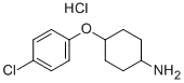 4-(4-CHLORO-PHENOXY)-CYCLOHEXYLAMINE HYDROCHLORIDE CAS#: 380828-77-3