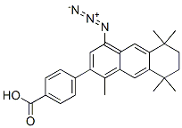 4-(4-azido-5,6,7,8-tetrahydro-1,5,5,8,8-pentamethyl-2-anthracenyl)benzoic acid CAS#: 131206-65-0