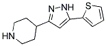 4-[5-(2-THIENYL)-1H-PYRAZOL-3-YL]PIPERIDINE CAS#: 321848-28-6