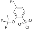 4-BROMO-2-(TRIFLUOROMETHOXY)BENZENE-1-SULFONYL CHLORIDE CAS#: 175278-14-5
