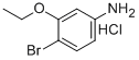 4-BROMO-3-ETHOXYANILINE HYDROCHLORIDE CAS#: 125756-95-8