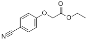 (4-CYANOPHENOXY) ACETIC ACID ETHYL ESTER CAS#: 30041-95-3