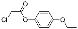 4-ETHOXYPHENYL CHLOROACETATE CAS#: 119929-85-0