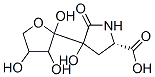 4-Hydroxy-5-oxo-4-(tetrahydro-2,3,4-trihydroxyfuran-2-yl)-L-proline CAS#: 41679-87-2