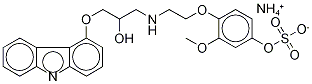 4'-Hydroxyphenyl Carvedilol Sulfate Ammonium Salt CAS#: 142227-52-9