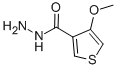 4-METHOXYTHIOPHENE-3-CARBOHYDRAZIDE CAS#: 125605-39-2