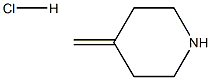 4-Methylenepiperidine HCl CAS#: 144230-50-2