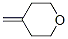 4-Methylenetetrahydro-2H-pyran CAS#: 36838-71-8
