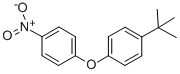 4-NITRO-4'-T-BUTYL DIPHENYL ETHER CAS#: 34859-82-0