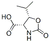4-Oxazolidinecarboxylicacid,5-(1-methylethyl)-2-oxo-,(4S-cis)-(9CI) CAS#: 125473-34-9