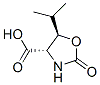 4-Oxazolidinecarboxylicacid,5-(1-methylethyl)-2-oxo-,(4S-trans)-(9CI) CAS#: 127913-32-0
