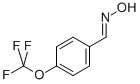 4-(TRIFLUOROMETHOXY)BENZALDOXIME CAS#: 150162-39-3