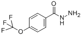 4-(TRIFLUOROMETHOXY)BENZOIC ACID HYDRAZIDE CAS#: 175277-18-6