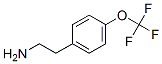 4-(Trifluoromethoxy)phenylethyl amine CAS#: 170015-99-3
