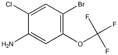 4-broMo-2-chloro-5-(trifluoroMethoxy)aniline CAS#: 115844-00-3