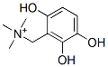 4-hydroxy-3-((trimethylammonio)methyl)catechol CAS#: 159662-73-4