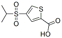 4-(isopropylsulfonyl)thiophene-2-carboxylic acid CAS#: 175202-46-7