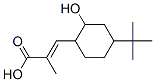 4-tert-butyl-2-hydroxycyclohexylmethacrylate CAS#: 128840-36-8
