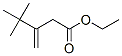 4,4-Dimethyl-3-methylenepentanoic acid ethyl ester CAS#: 36976-64-4