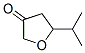 4,5-Dihydro-5-isopropylfuran-3(2H)-one CAS#: 34004-69-8