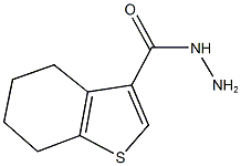 4,5,6,7-TETRAHYDRO-1-BENZOTHIOPHENE-3-CARBOHYDRAZIDE CAS#: 135840-47-0